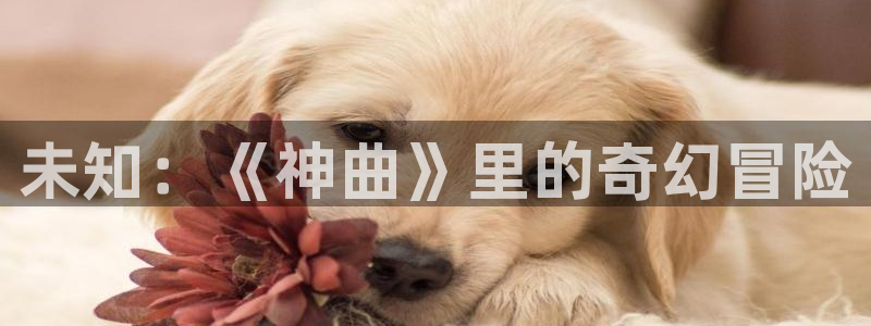 多彩娱乐网页版地址