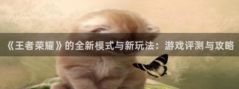 多彩娱乐咨询