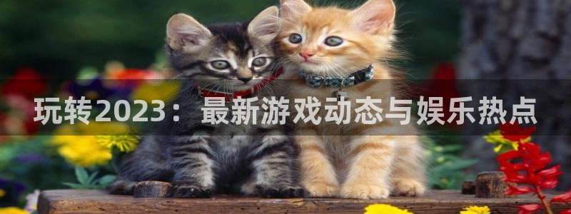 多彩娱乐测速：玩转2023：最新游戏动态与娱乐热点
