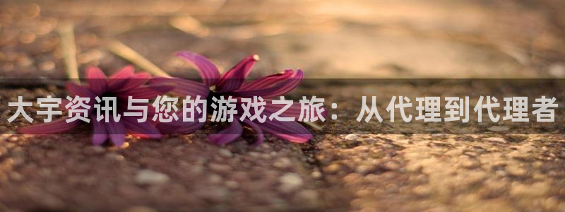 多彩娱乐网址注册：大宇资讯与您的游戏之旅：从代理到代理者
