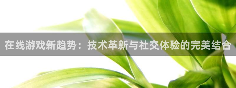 多彩娱乐代理登陆