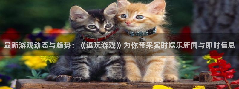 多彩娱乐网址官网：最新游戏动态与趋势：《逗玩游戏》为你带来实