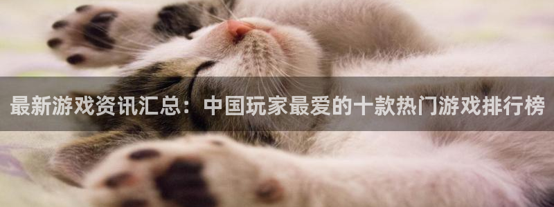 多彩娱乐2登录：最新游戏资讯汇总：中国玩家最爱的十款热门游戏