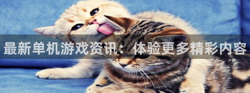 多彩娱乐游戏：最新单机游戏资讯：体验更多精彩内容