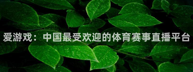 多彩娱乐平台官方网站：爱游戏：中国最受欢迎的体育赛事直播平台