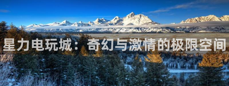 多彩娱乐注册网站：星力电玩城：奇幻与激情的极限空间