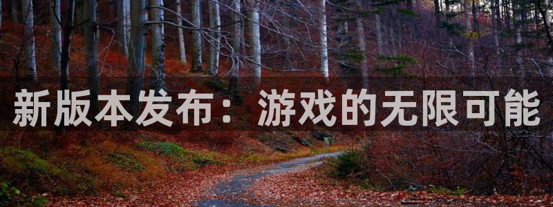 多彩娱乐注册登录平台：新版本发布：游戏的无限可能